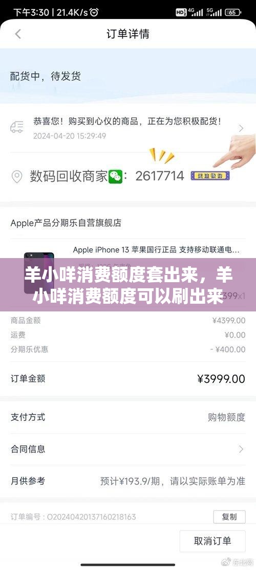 羊小咩消费额度套出来，羊小咩消费额度可以刷出来吗