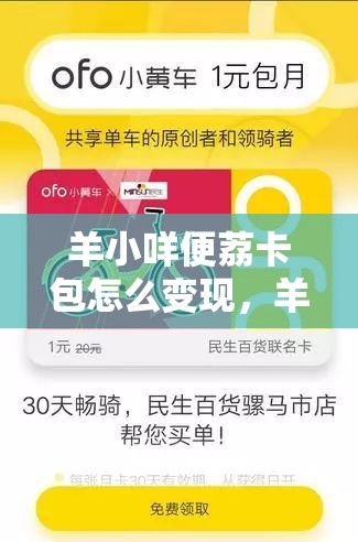 羊小咩便荔卡包怎么变现,羊小咩便荔卡包怎么变现lo安诚小铺om助富掌柜