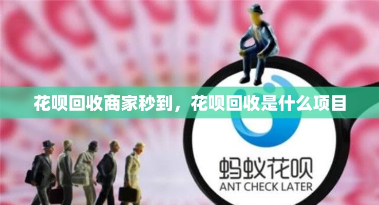 花呗回收商家秒到，花呗回收是什么项目