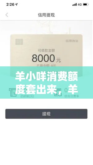 羊小咩消费额度套出来，羊小咩给了100额度