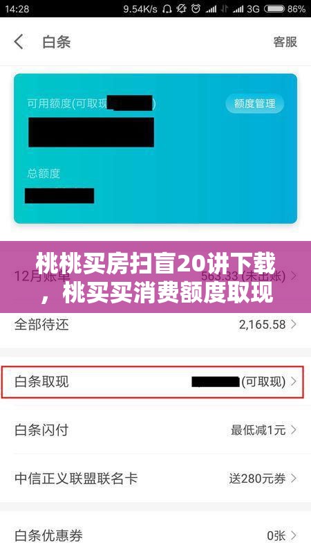 桃桃买房扫盲20讲下载，桃买买消费额度取现