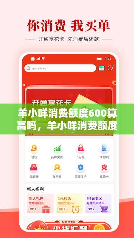 羊小咩消费额度600算高吗，羊小咩消费额度套出来