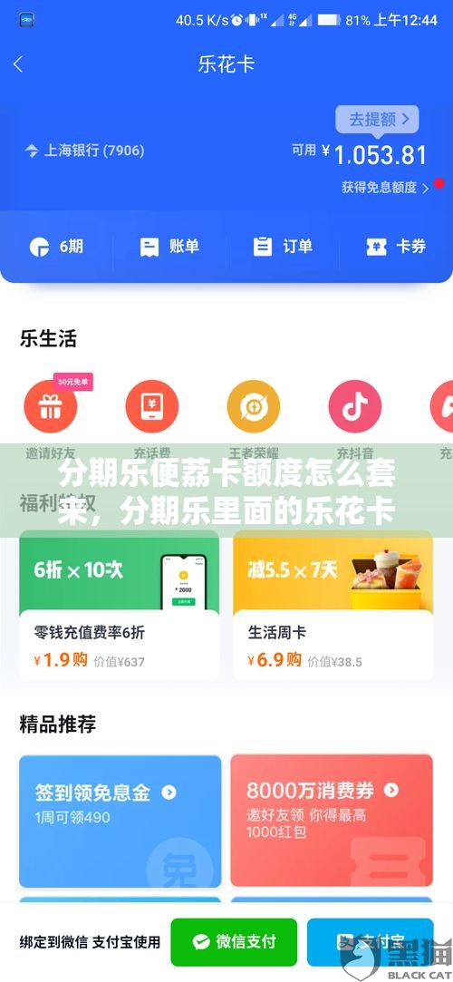 分期乐便荔卡额度怎么套来，分期乐里面的乐花卡