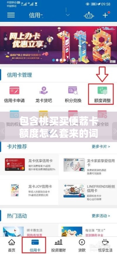 包含桃买买便荔卡额度怎么套来的词条