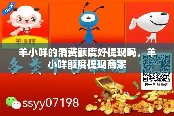 羊小咩的消费额度好提现吗，羊小咩额度提现商家