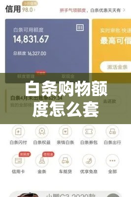 白条购物额度怎么套出来，白条额度怎么刷出来,教程解析