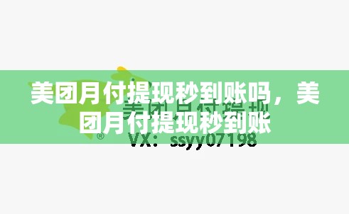 美团月付提现秒到账吗，美团月付提现秒到账