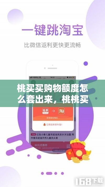 桃买买购物额度怎么套出来，桃桃买房扫盲20讲视频