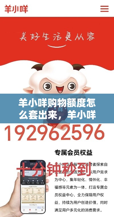 羊小咩购物额度怎么套出来，羊小咩购物额度2021年怎么套