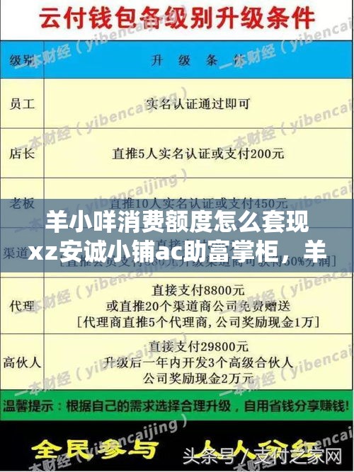 羊小咩消费额度怎么套现xz安诚小铺ac助富掌柜，羊小咩消费额度怎么套