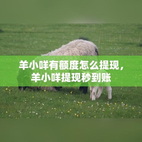 羊小咩有额度怎么提现，羊小咩提现秒到账