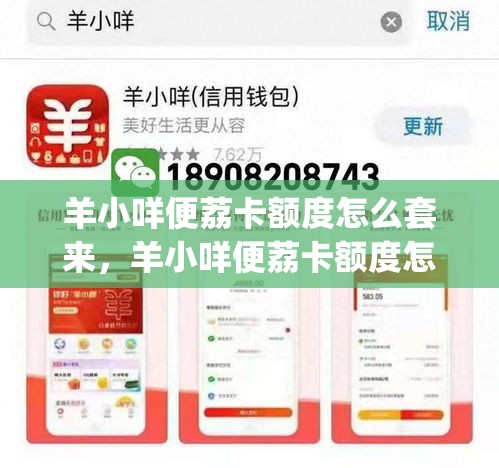 羊小咩便荔卡额度怎么套来，羊小咩便荔卡额度怎么套来cp安诚小铺qz助富掌柜