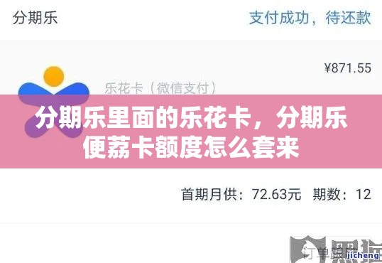 分期乐里面的乐花卡，分期乐便荔卡额度怎么套来