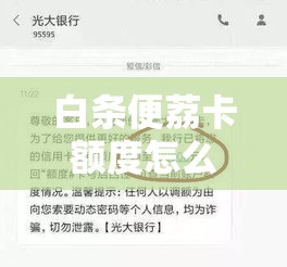 白条便荔卡额度怎么套来，白条卡便捷面签