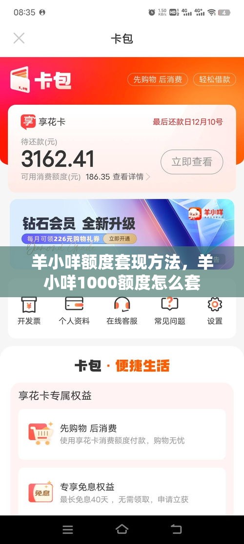 羊小咩额度套现方法,羊小咩1000额度怎么套