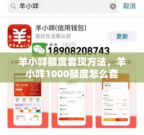 羊小咩额度套现方法,羊小咩1000额度怎么套