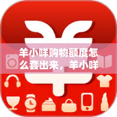 羊小咩购物额度怎么套出来，羊小咩购物提现