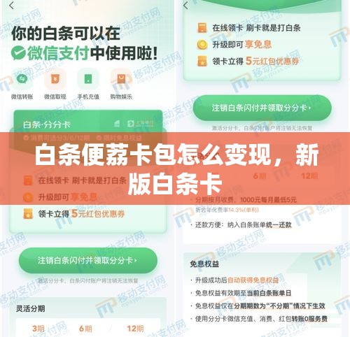 b级车销量排行榜2024，b级车销量排行榜2025