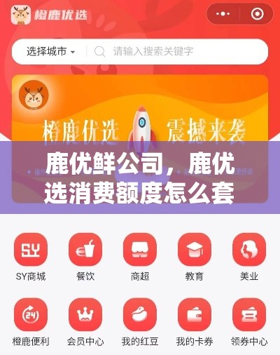 鹿优鲜公司,鹿优选消费额度怎么套