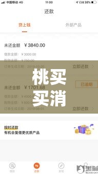 桃买买消费额度套出来，桃桃 买房