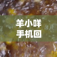 羊小咩手机回收，羊小咩回收商家秒到