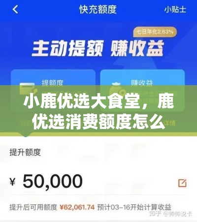 小鹿优选大食堂,鹿优选消费额度怎么套