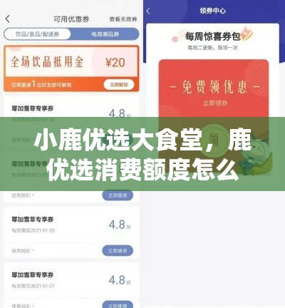 小鹿优选大食堂，鹿优选消费额度怎么套