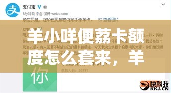 mvp排行榜2025最新前三，mvp最新排名