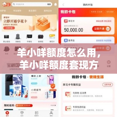 羊小咩额度怎么用，羊小咩额度套现方法