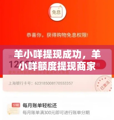 羊小咩提现成功，羊小咩额度提现商家