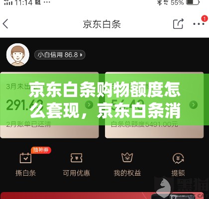 京东白条购物额度怎么套现，京东白条消费额度怎么套