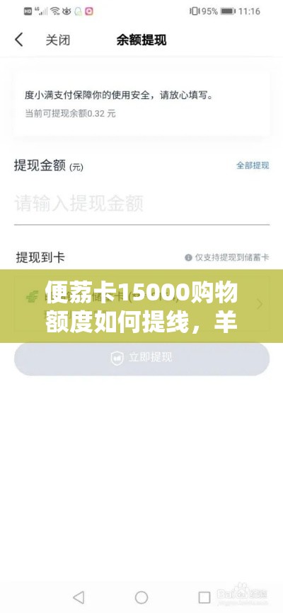 便荔卡15000购物额度如何提线,羊小咩怎么提现出来