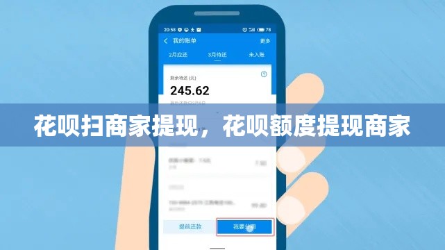 花呗扫商家提现,花呗额度提现商家
