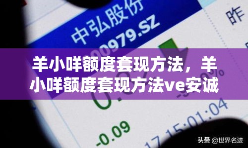 羊小咩额度套现方法，羊小咩额度套现方法ve安诚小铺oc助富