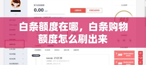 白条额度在哪，白条购物额度怎么刷出来