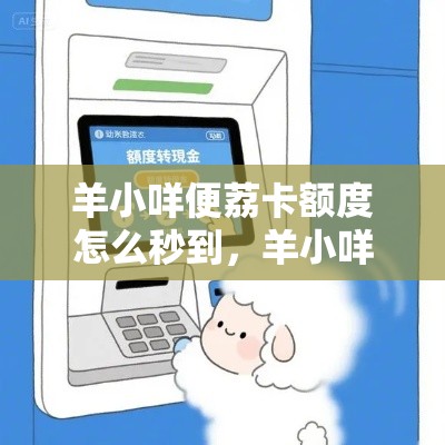 羊小咩便荔卡额度怎么秒到,羊小咩便荔卡额度怎么套出来