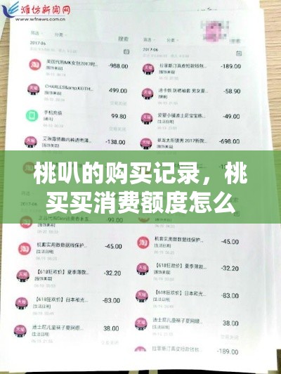 桃叭的购买记录,桃买买消费额度怎么套