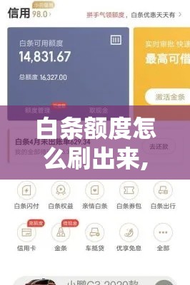 白条额度怎么刷出来,教程解析,白条购物额度怎么套出来