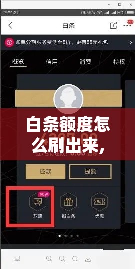 白条额度怎么刷出来,教程解析,白条购物额度怎么套出来