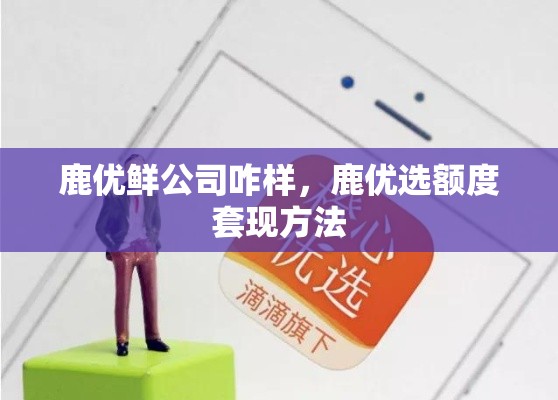 鹿优鲜公司咋样，鹿优选额度套现方法