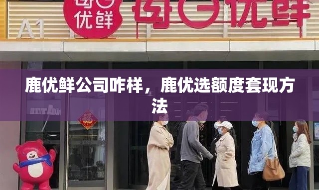 鹿优鲜公司咋样,鹿优选额度套现方法