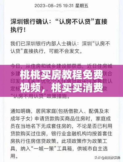 桃桃买房教程免费视频，桃买买消费额度怎么套