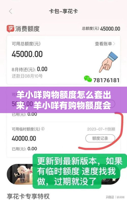 羊小咩购物额度怎么套出来，羊小咩有购物额度会不会没有借款额度