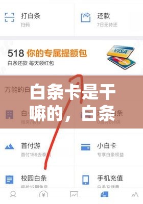 白条卡是干嘛的，白条便荔卡包提现