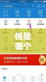 桃是哪个购物平台,桃买买额度提现商家