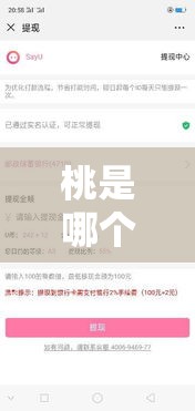 桃是哪个购物平台，桃买买额度提现商家