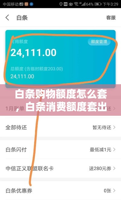 白条购物额度怎么套,白条消费额度套出来