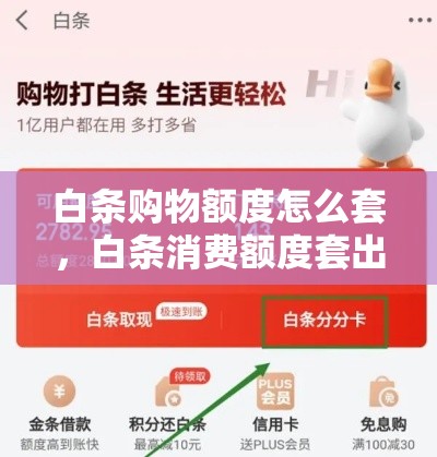 白条购物额度怎么套，白条消费额度套出来