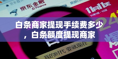 白条商家提现手续费多少,白条额度提现商家