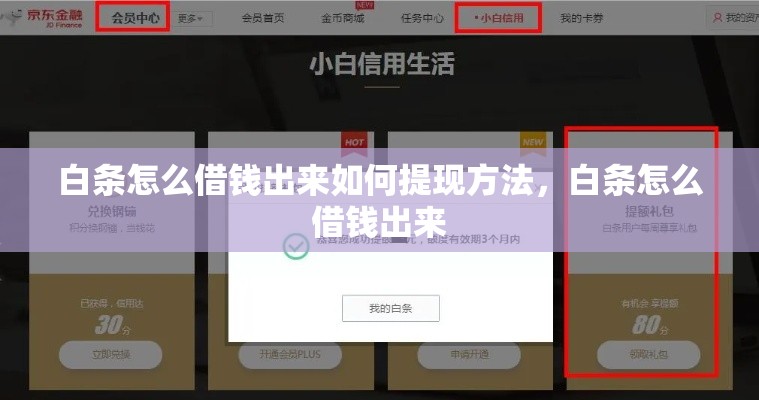 白条怎么借钱出来如何提现方法，白条怎么借钱出来